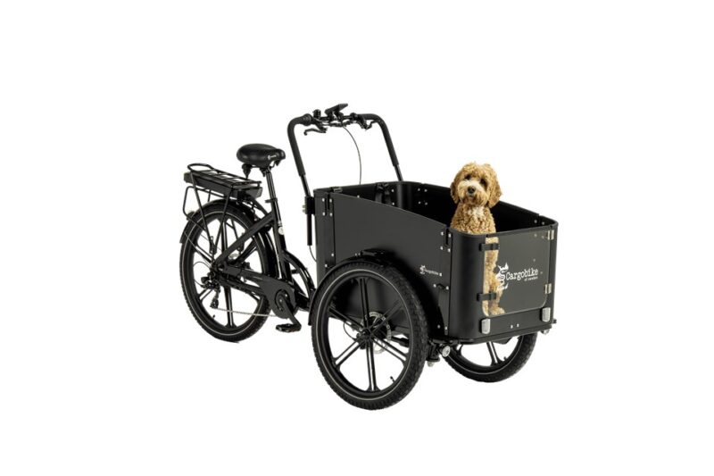 Cargobike Flex Dog