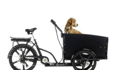 Cargobike Classic Dog