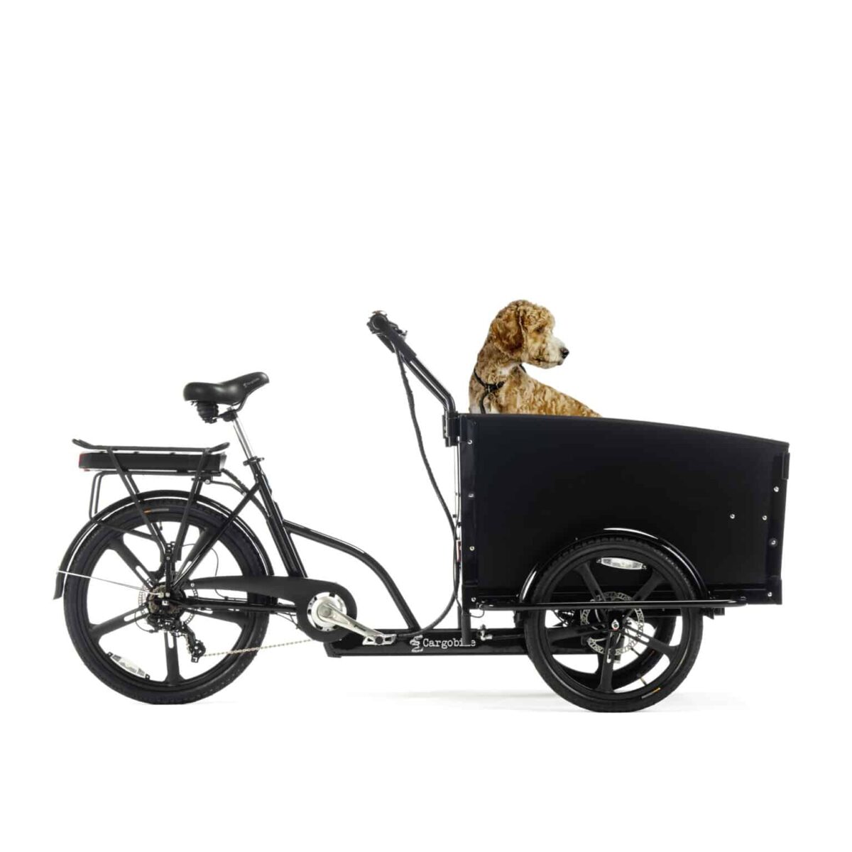 Cargobike Classic Dog