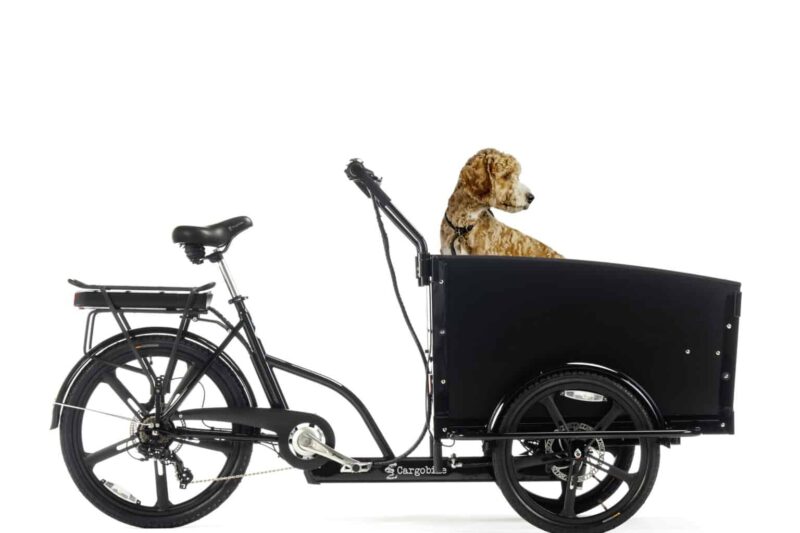 Cargobike Classic Dog